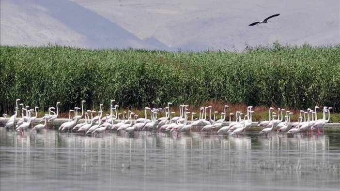 Eber Gölü'nün korunmasına belgesel desteği