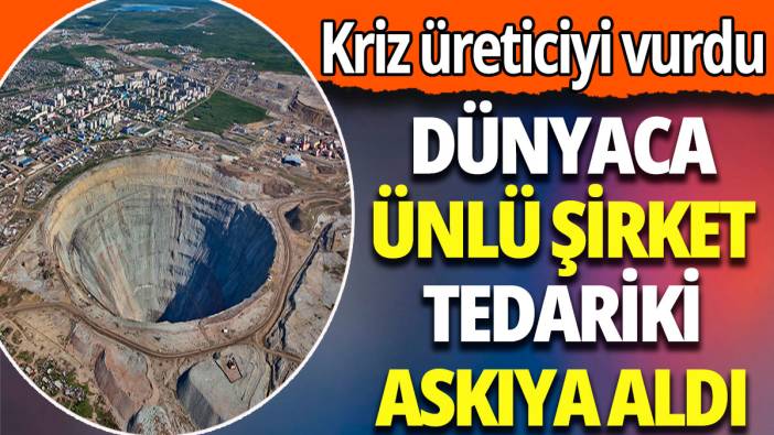 Dünyaca ünlü şirket tedariki askıya aldı