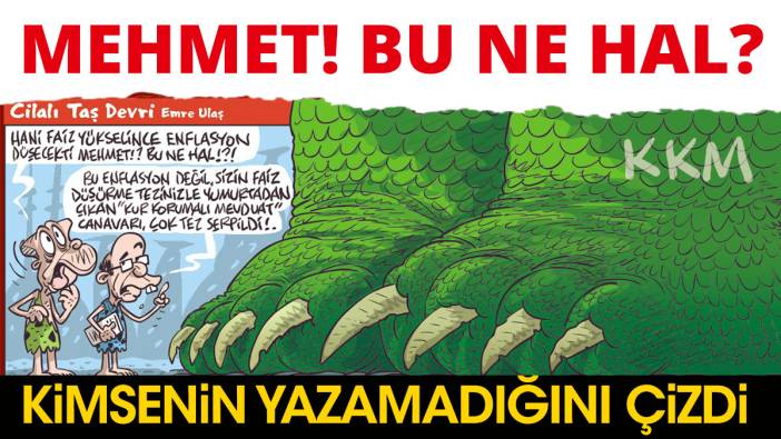 Emre Ulaş kimsenin yazamadığını çizdi!  Mehmet Şimşek'ten Erdoğan'a yanıt