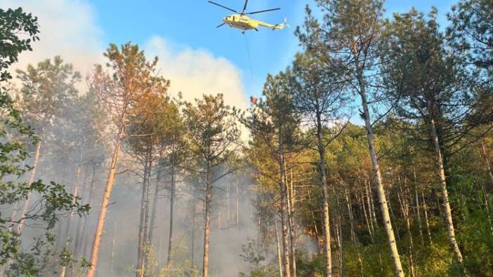 Karabük'teki orman yangını söndürüldü