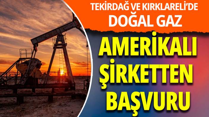 Amerikalı şirket Türkiye'de doğal gaz buldu
