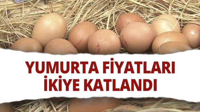 Yumurta fiyatları ikiye katlandı