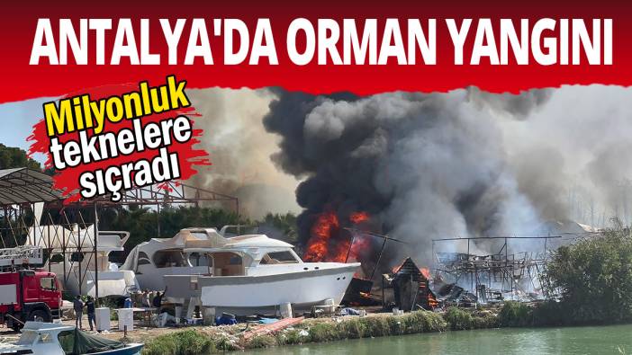 Antalya'da orman yangını
