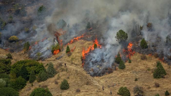 Sivas'ta otluk ve ağaçlık alanda çıkan yangına müdahale ediliyor