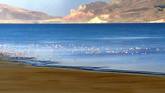 Erçek Gölü göç yolundaki kuşları ağırlıyor