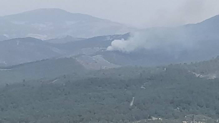 Manisa'da orman yangını gittikçe büyüyor