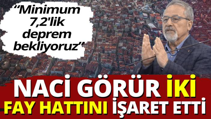 Naci Görür İstanbul depremi için iki fay hattını işaret etti