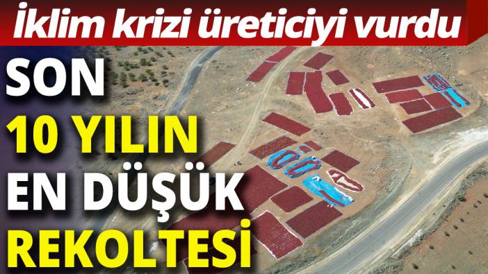 İklim krizi üreticiyi vurdu: Son 10 yılın en düşük rekoltesi