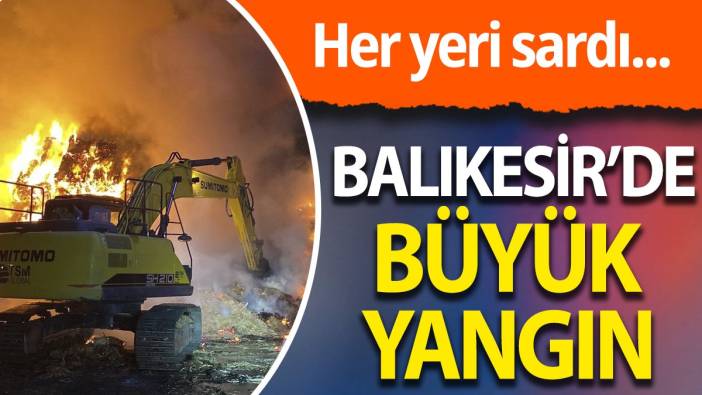 Balıkesir'de büyük yangın; çevreyi sardı