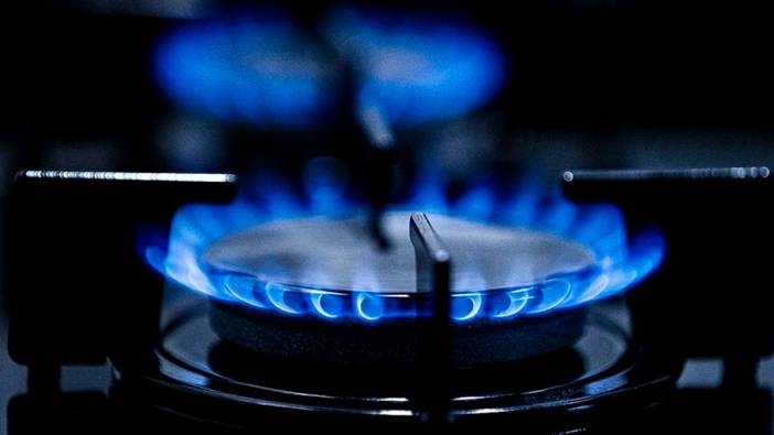 3 doğal gaz dağıtım şirketine kayyım atandı