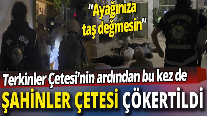 Şahinler Çetesi çökertildi