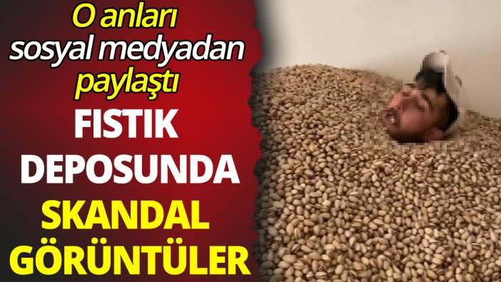 Fıstık deposunda skandal görüntüler