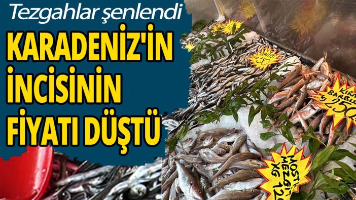 Karadeniz'in incisinin fiyatı düştü: Tezgahlar şenlendi