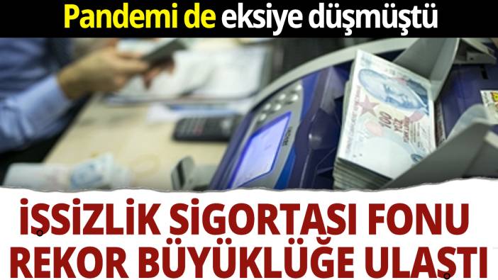 İşsizlik sigorta fonu rekor kırdı