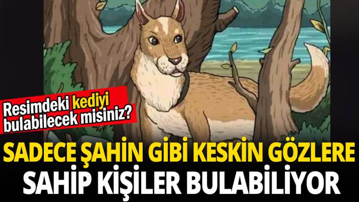 Sadece şahin gibi keskin gözlere sahip kişiler bulabiliyor