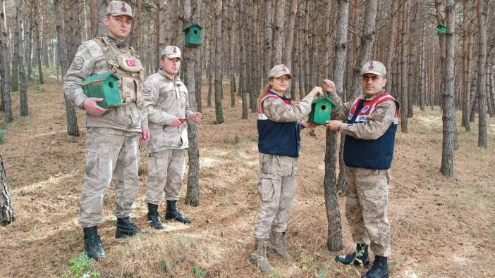 Ardahan'da ormana 20 adet kuş kafesi konuldu