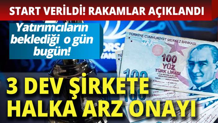 3 şirketin halka arzına onay! Yatırımcının beklediği rakamlar belli oldu