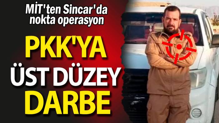 Sincar'da nokta operasyon: PKK'ya üst düzey darbe