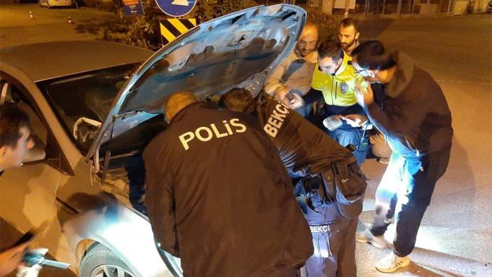 Uygulamada durdurulan otomobilden kedi çıktı