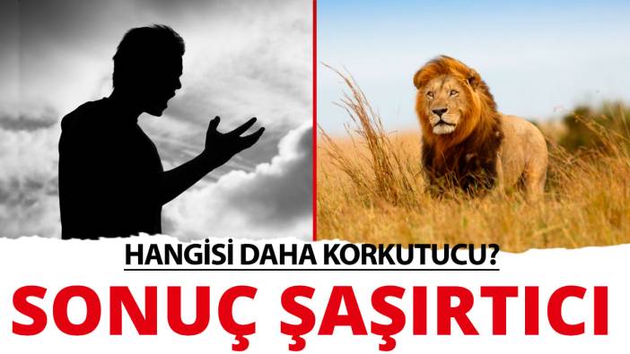Yaban hayvanlarını en çok insan sesi korkutuyor