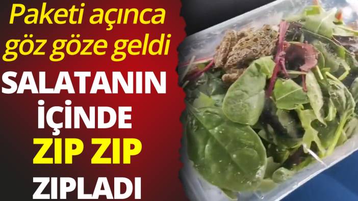 Paketi açınca göz göze geldi: Salatanın içinde zıp zıp zıpladı