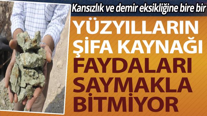 Yüzyılların şifa kaynağı! Faydaları saymakla bitmiyor