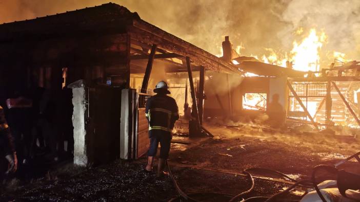 Kastamonu'da büyük yangın; 25 hayvan telef oldu
