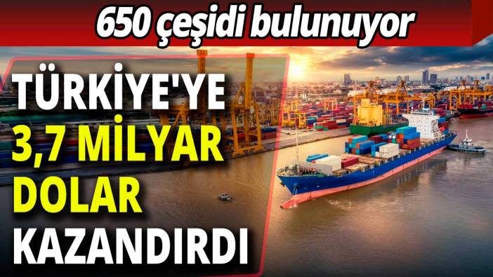 650 çeşidi bulunuyor: Türkiye'ye 3,7 milyar dolar kazandırdı