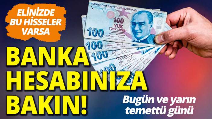 BIZIM ve PLTUR bu hafta temettü dağıtacak