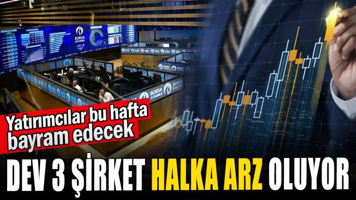 Dev üç şirket halka arz oluyor
