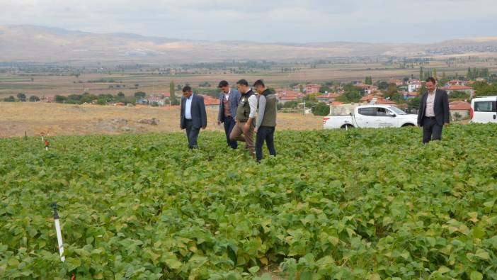 Mezarlıkta kalbinden bıçaklanmış erkek cesedi bulundu