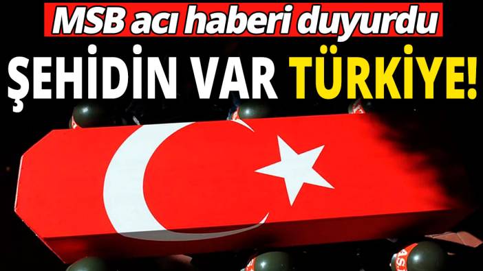 MSB acı haberi duyurdu: Şehidin var Türkiye!