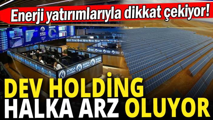 Dev holding halka arz oluyor