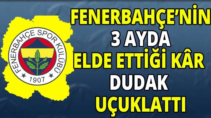 Fenerbahçe'nin 3 ayda elde ettiği kâr dudak uçuklattı
