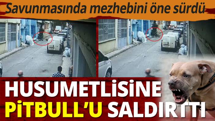 Husumetlisine Pitbull'u saldırttı: Savunmasında mezhebini öne sürdü
