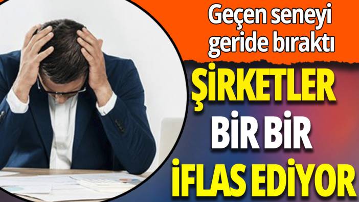 Şirketler bir bir iflas ediyor