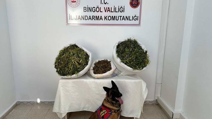 Bingöl'de 36 kilo uyuşturucu maddesi ele geçirildi