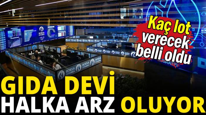 Gıda devi halka arz oluyor: Kaç lot verecek?