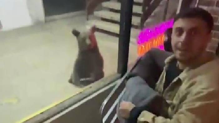 İş hanına giren ayı esnafa saldırdı Karabük'te ayılar sokaklarda cirit atıyor