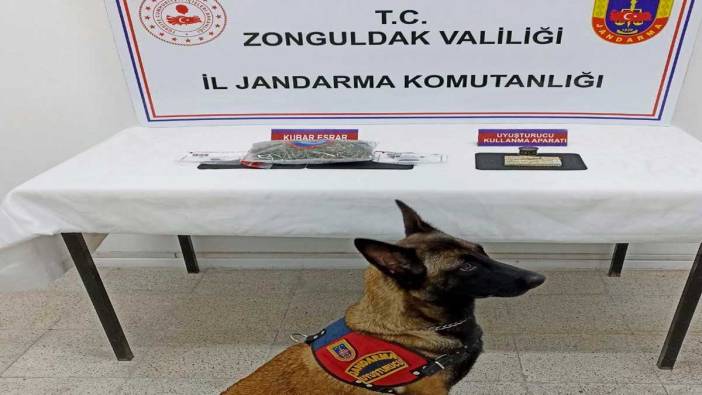 Zonguldak'ta  uyuşturucu operasyonu