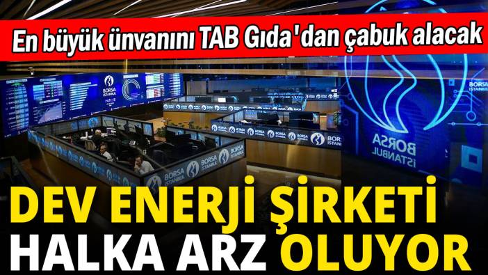Dev enerji şirketi halka arz oluyor: En büyük ünvanını TAB Gıda'dan çabuk alacak