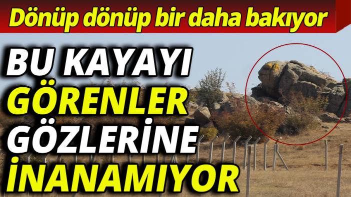Bu kayayı görenler gözlerine inanamıyor: Dönüp dönüp bir daha bakıyor