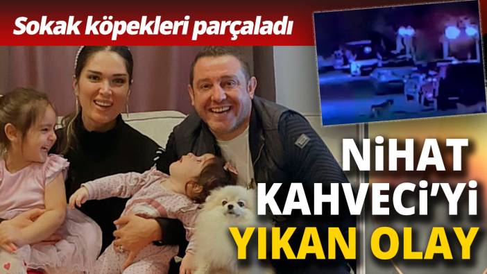 Nihat Kahveci’yi yıkan olay! Can dostunu sokak köpekleri parçaladı