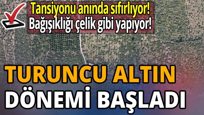 Turuncu altın dönemi başladı! Tansiyonu anında sıfırlıyor! Bağışıklığı çelik gibi yapıyor