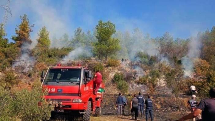 Muğla’da makilik yangını