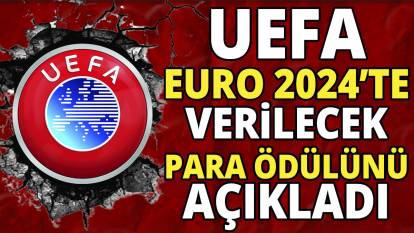 UEFA Euro 2024'te verilecek para ödülü miktarını belirledi