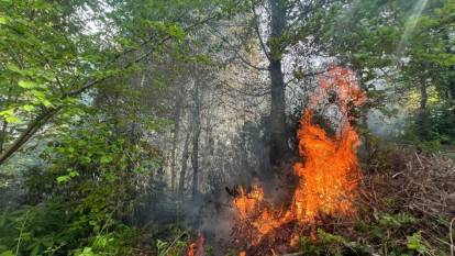 Bahçe temizliği için yakılan ateş, 5 dönümlük araziyi tahrip etti