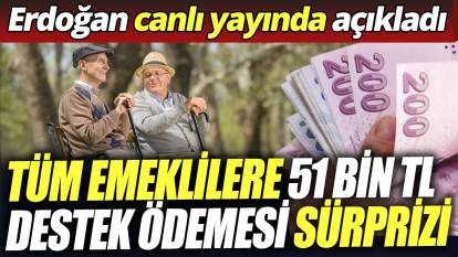 Tüm emeklilere 51 bin TL destek ödemesi sürprizi ‘Erdoğan canlı yayında açıkladı’