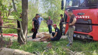 İtfaiye ekiplerinin inek kurtarma operasyonu