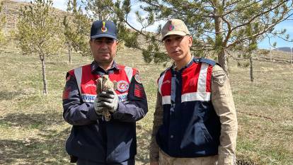 Erzurum'da yaralı kuşlar tedavi altına alındı